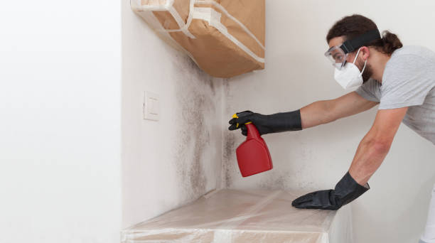 Professional Basement Mold Removal technician working in Farmville, VA