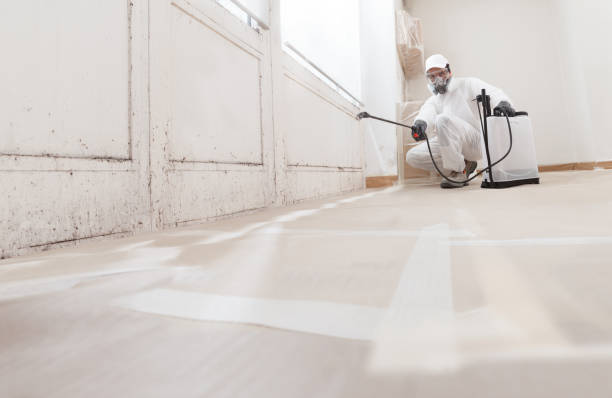 24/7 Emergency Basement Mold Removal experts in Farmville, VA