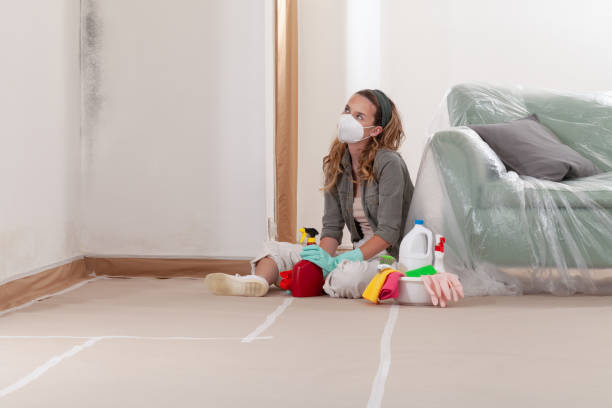 Reliable Basement Mold Removal contractor in Farmville, VA by WQB Mold Removal